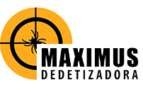 Maximus Logo