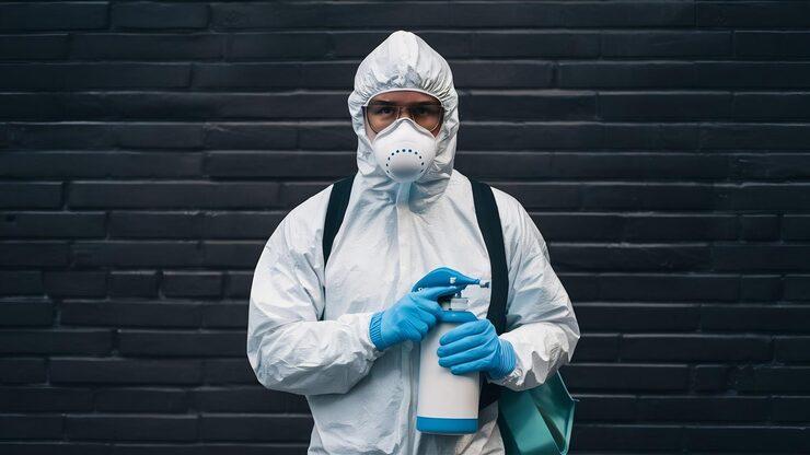 Dedetização Preventiva