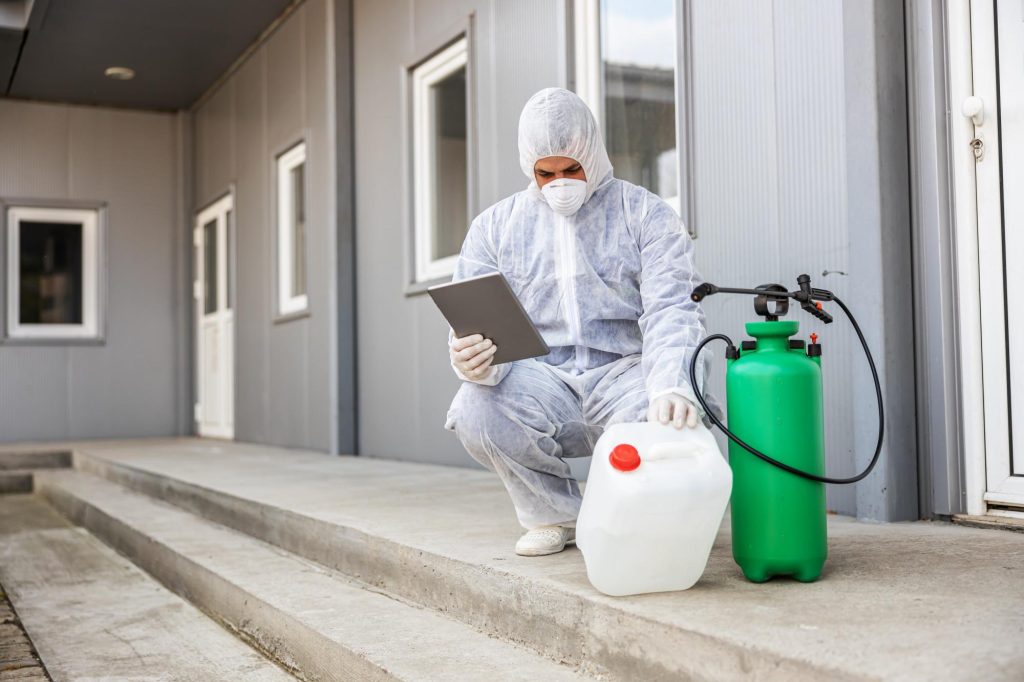 Dedetização Preventiva