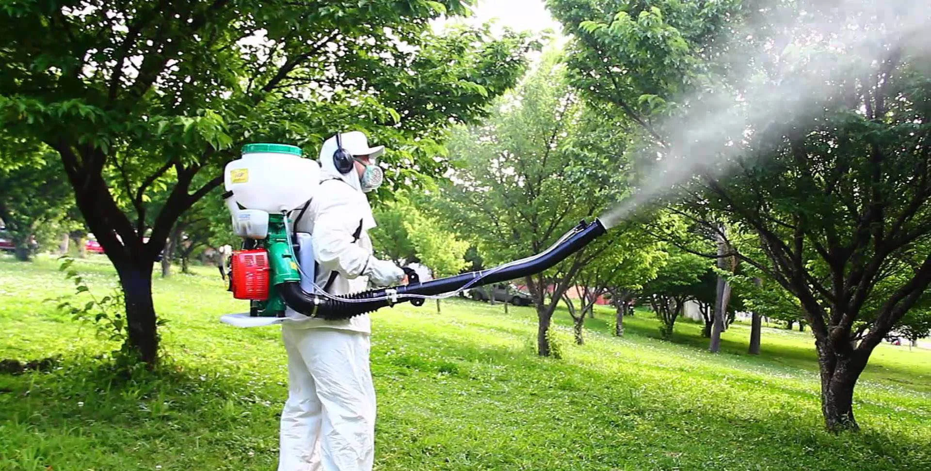 Equipe da Maximus Dedetizadora em ação na capital paulista