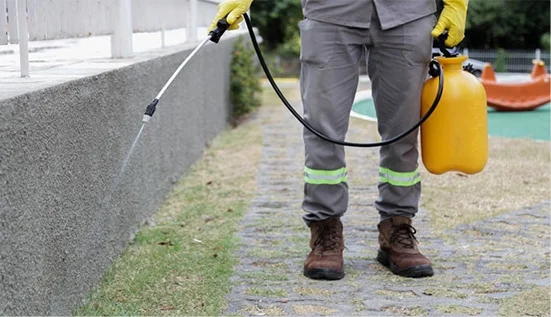 Veículo de serviço da Maximus Dedetizadora estacionado em área urbana